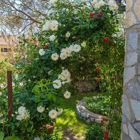 Akelava * Crikvenica