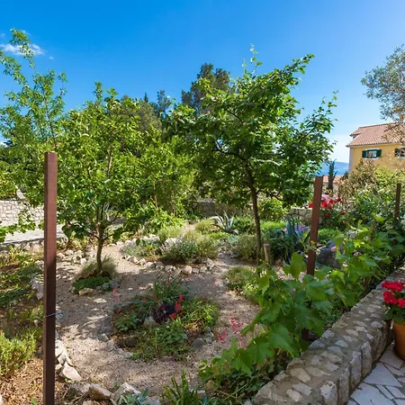 Akelava * קריקווניצה