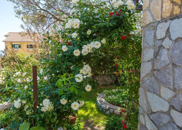 Akelava * Crikvenica